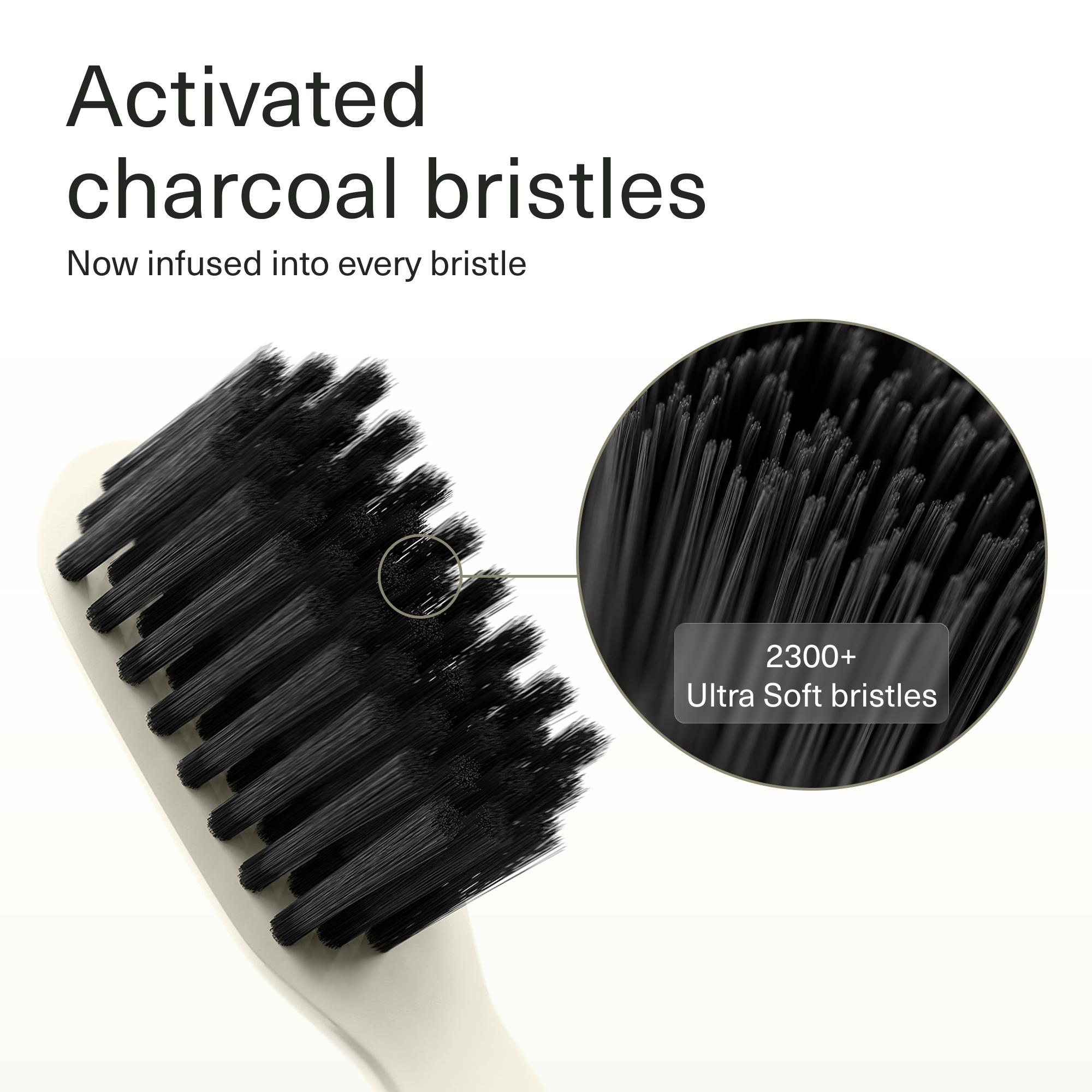Toothbrush_4_Pack_Gallery_Image_1.png