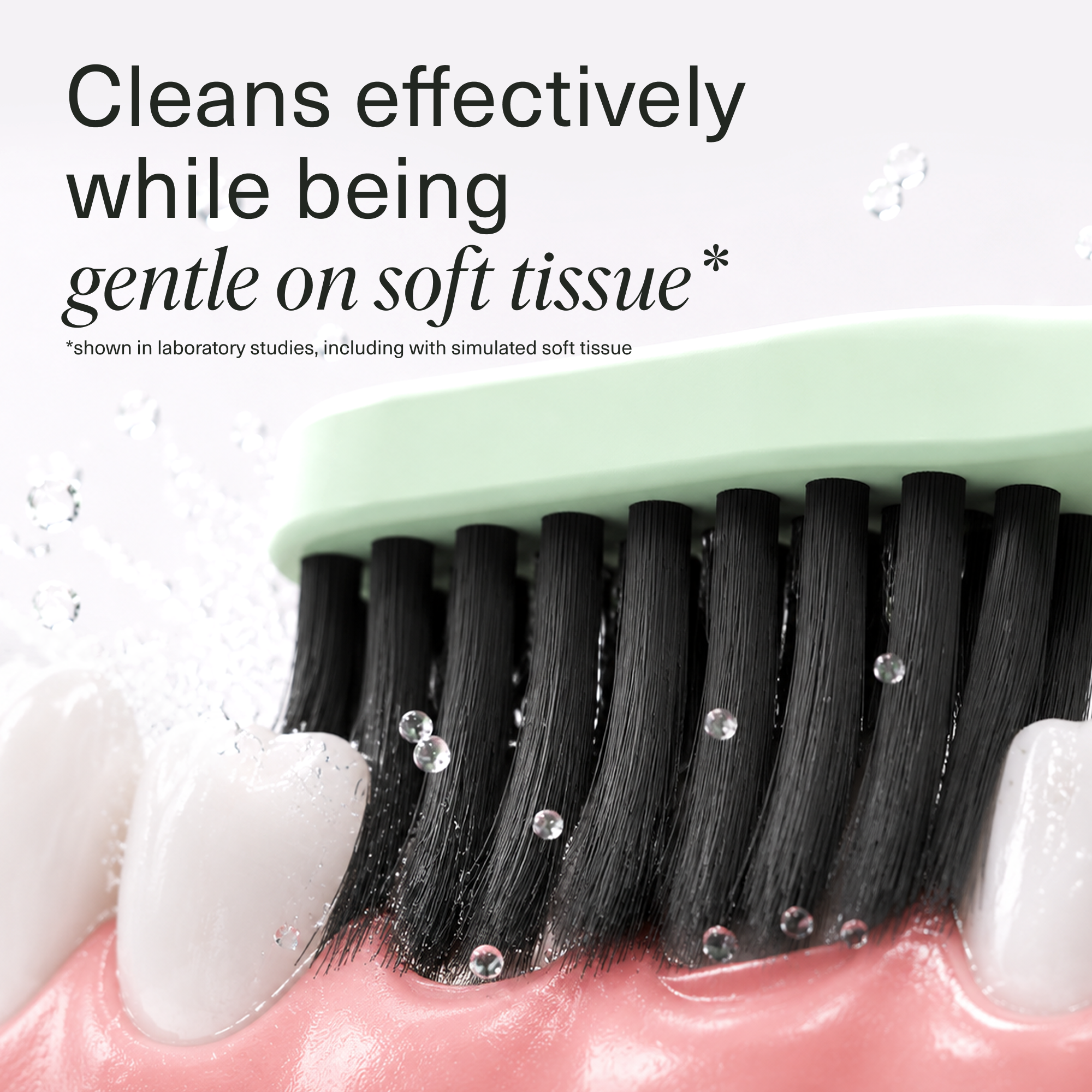 Toothbrush_4_Pack_Gallery_Image_2.png